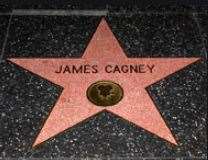 He received a star on the Hollywood Walk of Fame in 1960.